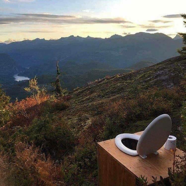 Taking Shits in Unexpected Places